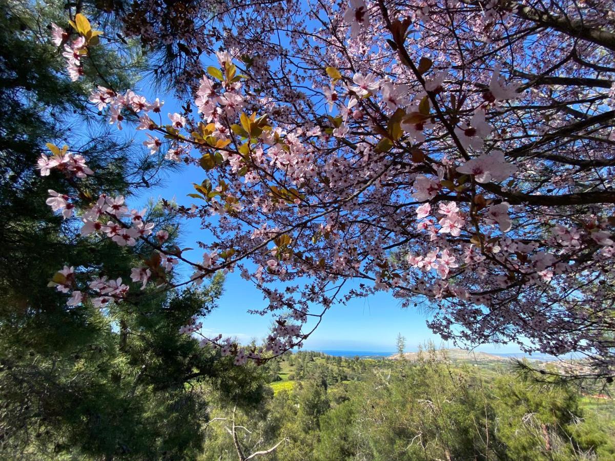 Anti Onirou Villa Flasou Bagian luar foto